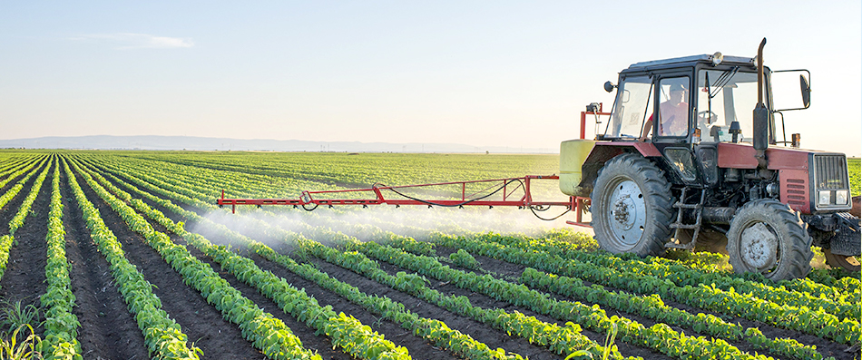 88038����˹(�й�)���޹�˾����