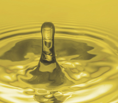 88038����˹(�й�)���޹�˾����