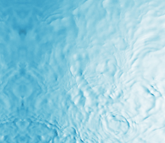 88038����˹(�й�)���޹�˾����