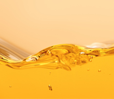 88038����˹(�й�)���޹�˾����