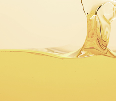 88038����˹(�й�)���޹�˾����