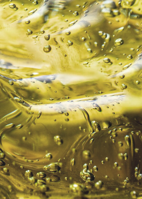 88038����˹(�й�)���޹�˾����